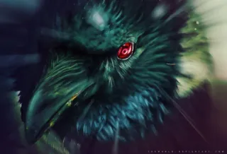 😎 raven, bird, animal, eye, dark, art telegram sticker