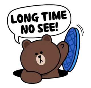 👋 Brown Bear LONG TIME NO SEE! Мультик, Медведь, Привет, Давно не виделись, Дружелюбный, Милый telegram sticker