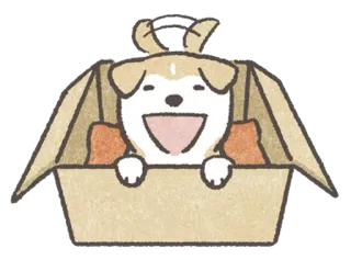 😀 cachorro, filhote, caixa, fofo, animal, animal de estimação, desenho animado whatsapp sticker