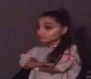 🍄 Ariana Grande celebrity, pop star, singer, portrait, meme telegram sticker