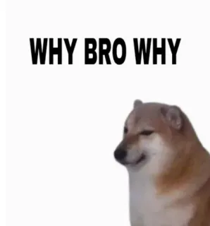 🥺 cheems WHY BRO WHY 밈, Doge, 개, 웃긴 telegram sticker