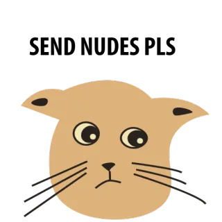 🍒 gato, animal, desenho animado, fofo, adesivo, ilustração, felino telegram sticker