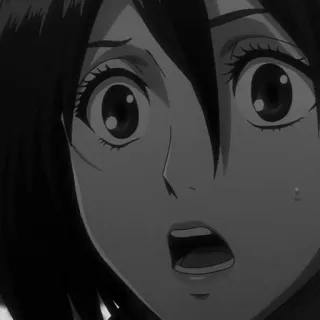 🗡 Mikasa Ackerman Attack on Titan Anime, Attack on Titan, Mikasa, chocado, assustado telegram sticker