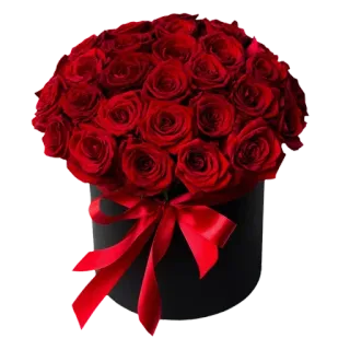 🌹 ดอกไม้, ดอกกุหลาบ, กุหลาบแดง, ช่อดอกไม้, การจัดดอกไม้, ของขวัญ, ความรัก whatsapp sticker