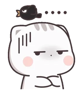 ⭐️ cat, cute, angry, bird, annoyed telegram sticker