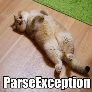 ☹️ ParseException cat, error, programming, exception, funny, meme telegram sticker