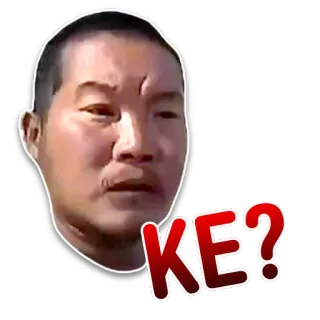 🎎 KE? мем, вопрос, выражение, лицо telegram sticker