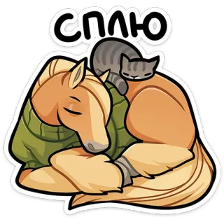 🐴 СПЛЮ ngủ, ngựa, mèo, động vật, dễ thương, thư giãn whatsapp sticker
