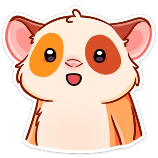 😯 criceto, carino, animale, animale domestico, adesivo telegram sticker