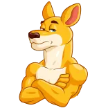 😒 canguro, animal, musculoso, dibujos animados telegram sticker