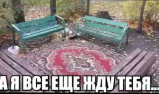 ⏰ А Я ВСЕ ЕЩЕ ЖДУ ТЕБЯ... attente, tapis, banc, automne, extérieur, parc telegram sticker