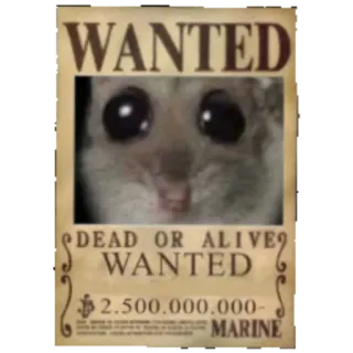 🔎 WANTED
DEAD OR ALIVE
WANTED
MARINE 수배, 보상금, 포스터, 해양, 동물, 귀여운 whatsapp sticker