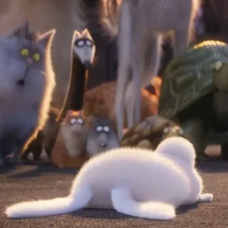 🐰 Snowball The Secret Life of Pets rabbit, pet, animal, cute, cartoon, animated, snowball telegram sticker