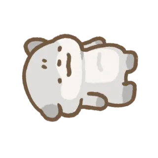 🛌 ours, animal, mignon, dessin animé, dormir, détendu whatsapp sticker