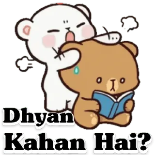 😀 Dhyan Kahan Hai? urso, lendo, fofo, desenho animado, livro telegram sticker