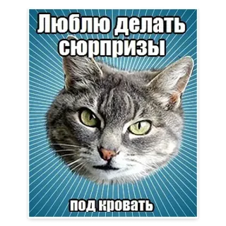 😋 ЛЮБЛЮ ДЕЛАТЬ СЮРПРИЗЫ
ПОД КРОВАТЬ gato, sorpresa, divertido, humor, meme, animales telegram sticker