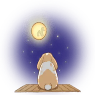 🌑 kelinci, bulan, bintang, kelinci, malam, langit, hewan whatsapp sticker