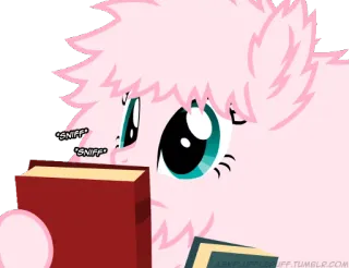 📚 SNIFF
SNIFF telegram sticker