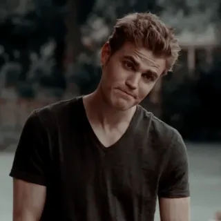 😏 Stefan Salvatore The Vampire Diaries 뱀파이어, TV 프로그램, 틴 드라마, 스테판, 폴 웨슬리 telegram sticker