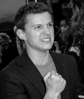 🥀 Tom Holland 톰 홀랜드, 배우, 유명인, 화난, 사람 telegram sticker