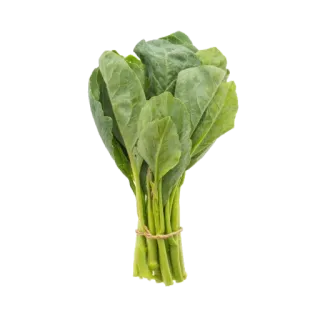 🥬 Verdura, Verdure a foglia, Bok choy, Broccoli cinese, Kai lan telegram sticker