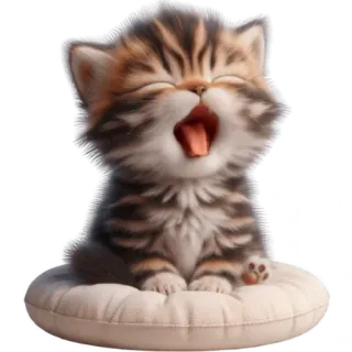 🥱 새끼 고양이, 고양이, 귀여운, 하품, 동물, 애완 동물, 집고양이 telegram sticker