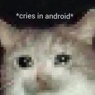 😥 *cries in android* cat, android, crying, meme, funny whatsapp sticker