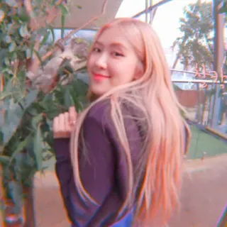 🌹 Rosé kpop, idol, cantor, rose, blackpink telegram sticker