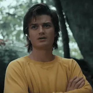 😐 Steve Harrington Stranger Things スティーブ・ハリントン, ストレンジャーシングス, 80年代, テレビ番組, キャラクター whatsapp sticker