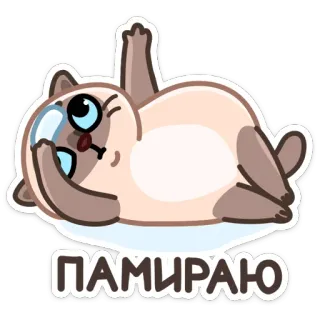 😞 ПАМИРАЮ кот, смешной, милый, животное, стикер, лол telegram sticker