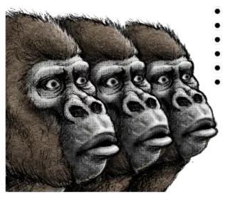 😦 gorila, macaco, animal, primata, ilustração telegram sticker