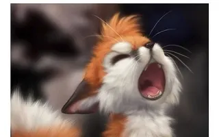 🤬 fox, animal, yawning, cute, furry telegram sticker