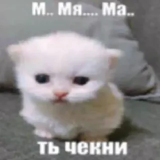 ❣️ М.. Мя.... Ма.. ть чекни telegram sticker