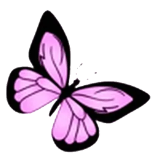 🦋