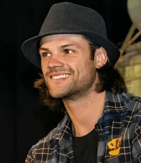 🤤 man, hat, plaid shirt, smiling, person telegram sticker