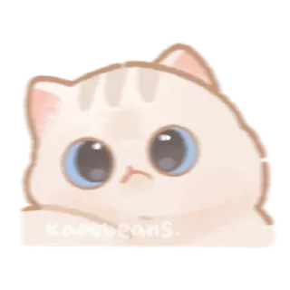 🤔 Karobeans. gato, gatito, lindo, animal, mascota, pegatina whatsapp sticker