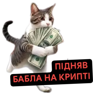 🐱 ПІДНЯВ БАБЛА НА КРИПТІ telegram sticker