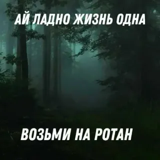 😘 АЙ ЛАДНО ЖИЗНЬ ОДНА
ВОЗЬМИ НА РОТАН bosque, noche, niebla, árboles, oscuro telegram sticker