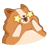 🤩 corgi, hond, enthousiast, sterren, cartoon, animatie telegram sticker