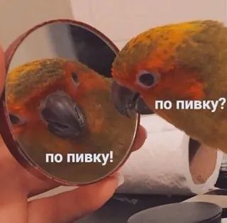 🍺 по пивку? telegram sticker