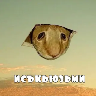 🤡 ИСЪКЬЮЗЬМИ кот, мем, животное telegram sticker
