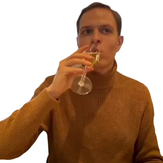 🍷 picie, napój, alkohol, osoba, wino, szkło telegram sticker