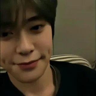 🦥 whatsapp sticker