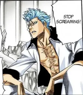 🍍 STOP SCREAMING! 애니메이션, 만화, 멈춤, 소리 지르기 telegram sticker