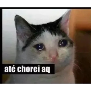 😭 até chorei aq кот, плачет, грустный, мем, стикер, эмоциональный telegram sticker