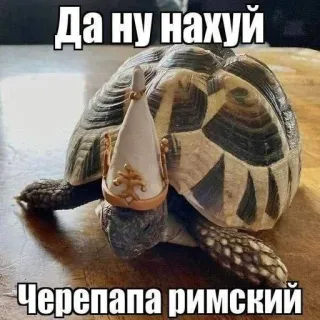 Больше стиков тут: @stikery4 whatsapp stickers