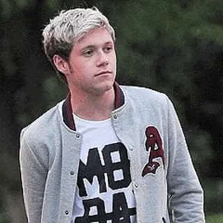 🌙 Niall Horan prominenter, sänger, porträt, one direction telegram sticker