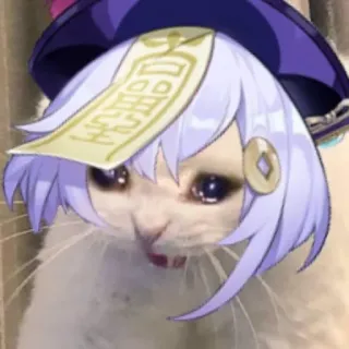 😭 cat, meme, funny, sad, animal, pet telegram sticker
