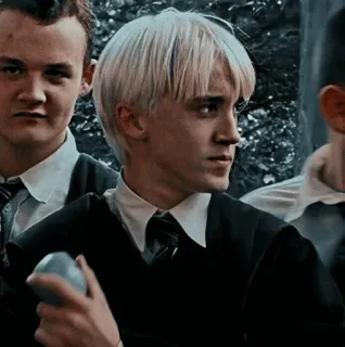 🐾 Draco Malfoy Harry Potter 드레이코 말포이, 해리 포터, 마법사, 학생, 슬리데린, 마법 telegram sticker