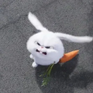 😬 Snowball The Secret Life of Pets conejo, dibujos animados, enojado, zanahoria whatsapp sticker